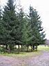 park007.jpg